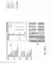 Fig. 18 - SYSTEM AND METHOD FOR PHYSICALS COMMODITY TRADING