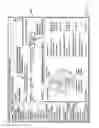 Fig. 09 - Self-Directed Insurance Accounts