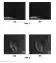 Fig. 06 - Mapping image/video content to target display devices with variable brightness levels and/or viewing conditions