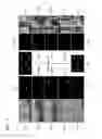 Fig. 08 - Camera system and image registration method thereof