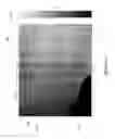 Fig. 05 - Ice analysis based on active and passive radar images