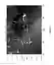 Fig. 06 - Ice analysis based on active and passive radar images