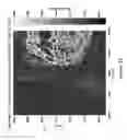 Fig. 13 - Ice analysis based on active and passive radar images