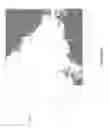 Fig. 27 - Ice analysis based on active and passive radar images