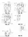 Fig. 03 - Divided Electronic Image Transmission System and Method