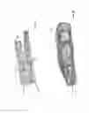 Fig. 03 - Method and apparatus for generation of 3D models with applications in dental restoration design