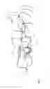Fig. 10 - Method and apparatus for generation of 3D models with applications in dental restoration design