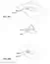 Fig. 23 - Method and apparatus for selectively integrating sensory content