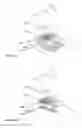 Fig. 24 - Method and apparatus for selectively integrating sensory content