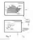 Fig. 08 - Automated registration of three-dimensional vectors to three-dimensional linear features in remotely-sensed data