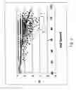 Fig. 07 - Memory test for Alzheimer's disease