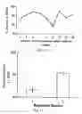 Fig. 11 - Memory test for Alzheimer's disease