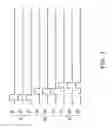 Fig. 05 - Display driving apparatus, method for driving display panel and display panel