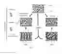 Fig. 04 - BISTABLE LIQUID CRYSTAL LIGHT VALVE AND OPERATING METHOD THEREOF