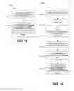 Fig. 13 - Electronic Image Separated Viewing and Screen Capture Prevention System and Method