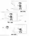 Fig. 16 - Electronic Image Separated Viewing and Screen Capture Prevention System and Method