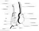 Fig. 01 - Decorative Custom Fit Cover for Stringed Instrument