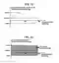 Fig. 15 - Hologram reproducing device and hologram reproducing method