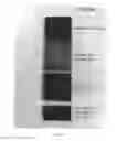 Fig. 10 - Organic semiconductor doping process