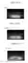 Fig. 12 - Plasma processing apparatus
