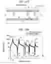 Fig. 11 - Plasma processing apparatus