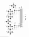 Fig. 07 - System and method for damage reduction in light-assisted processes