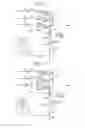 Fig. 09 - Substrate liquid processing apparatus