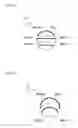 Fig. 09 - Roll-type processing member, pencil-type processing member, and substrate processing apparatus including any one of these