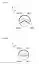 Fig. 10 - Roll-type processing member, pencil-type processing member, and substrate processing apparatus including any one of these