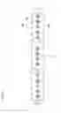 Fig. 17 - Roll-type processing member, pencil-type processing member, and substrate processing apparatus including any one of these