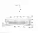 Fig. 03 - Printed circuit board and electronic equipment
