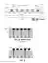 Fig. 04 - Buried etch stop layer for damascene bit line formation