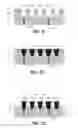 Fig. 07 - Buried etch stop layer for damascene bit line formation