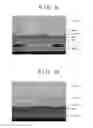 Fig. 07 - Semiconductor device and method of manufacturing semiconductor device