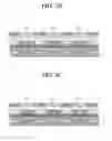 Fig. 06 - Display device using semiconductor light emitting device and method of fabricating the same