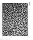 Fig. 06 - Electronic device for data storage and a method of producing an electronic device for data storage