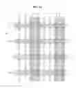 Fig. 14 - Solar cell module