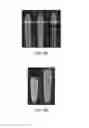 Fig. 12 - Nanostructure semiconductor light emitting device having rod and capping layers of differing heights