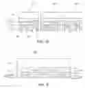 Fig. 09 - METHOD OF MANUFACTURING SEMICONDUCTOR LIGHT EMITTING DEVICE PACKAGE