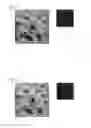 Fig. 09 - METHOD OF PRODUCING NANOPARTICLES, METHOD OF PRODUCING THERMOELECTRIC MATERIAL, AND THERMOELECTRIC MATERIAL