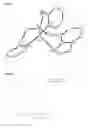 Fig. 02 - Metal Complexes