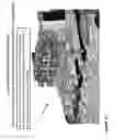Fig. 31 - Transport system for convertible battery pack
