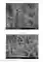 Fig. 02 - Carbon electrode and method for manufacturing thereof