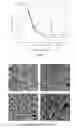 Fig. 08 - THREE-DIMENSIONAL (3D) ELECTRODE ARCHITECTURE FOR A MICROBATTERY