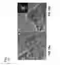 Fig. 16 - Electrolyte for batteries with regenerative solid electrolyte interface