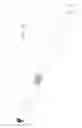 Fig. 04 - Multiband helical antenna
