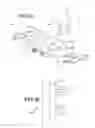 Fig. 03 - SAFETY SOCKET