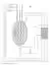 Fig. 01 - METHODS FOR PROVIDING GENERATOR STATOR WINDING GROUND FAULT PROTECTION