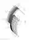 Fig. 08 - Electric machine having rotor with slanted permanent magnets