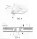 Fig. 05 - Motor and winding assembly thereof
